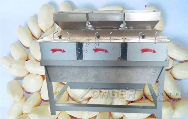 High Quality Peanut Peeling Equipment|Roasted Peanut Skin Removing Machine Price