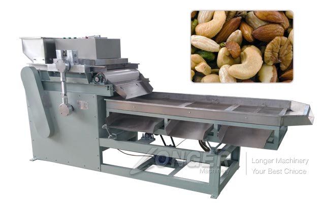 Commercial Nuts Dicing Machine for Sale