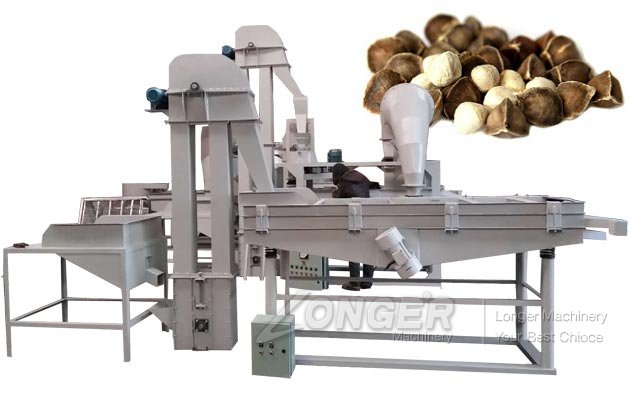 Moringa Seed Peeling Machine|Dehulling Unit 