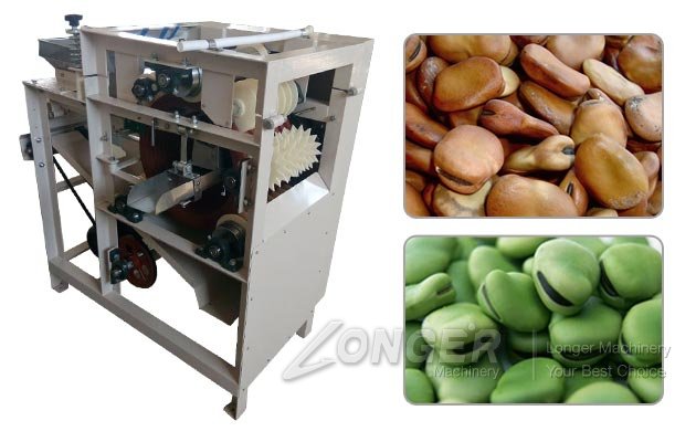 Commercial Fava Bean Peeler|Vicia Faba Peeling Machine 