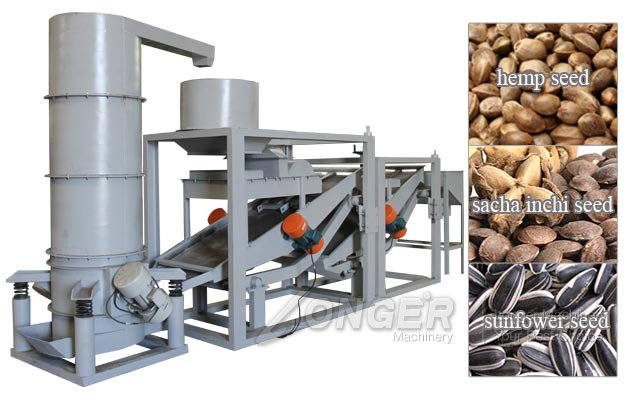 Sacha Inchi Seed Hulling Machine|Plukenetia Volubilis Dehulling Equipment Thailand
