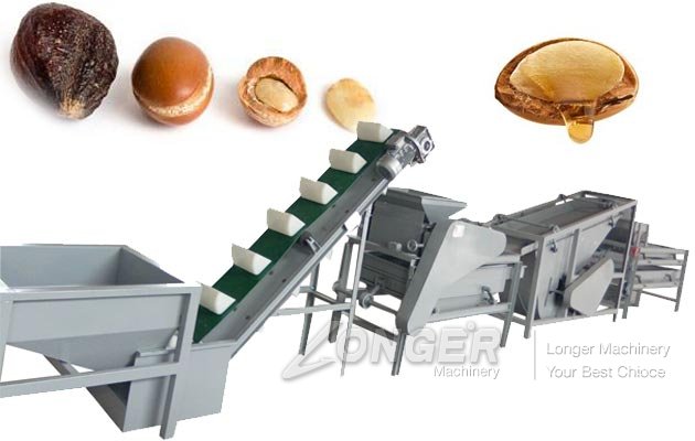 Commercial Olive Seed Shelling Machine|Morocco Nut Processing Machinery Plant