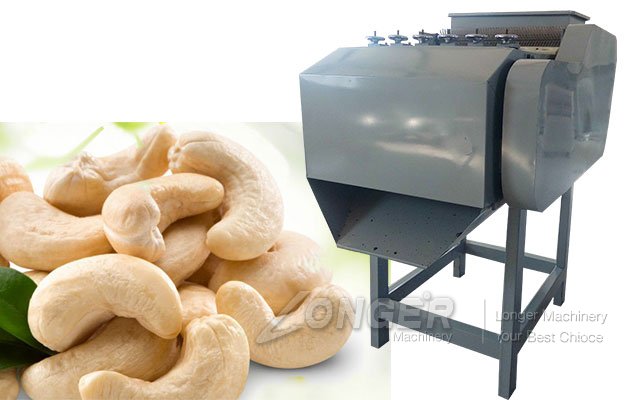 Raw Cashew Nuts Shelling Machine Processing Machinery Price