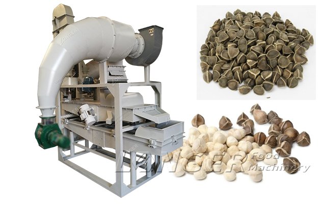 Automatic Moringa Seed Shelling and Sorting Machine 200 KG/H