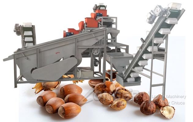 Automatic Hazelnut Processing Line