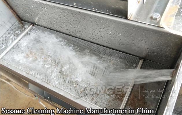 Sesame Cleaning Machine Manufacturer