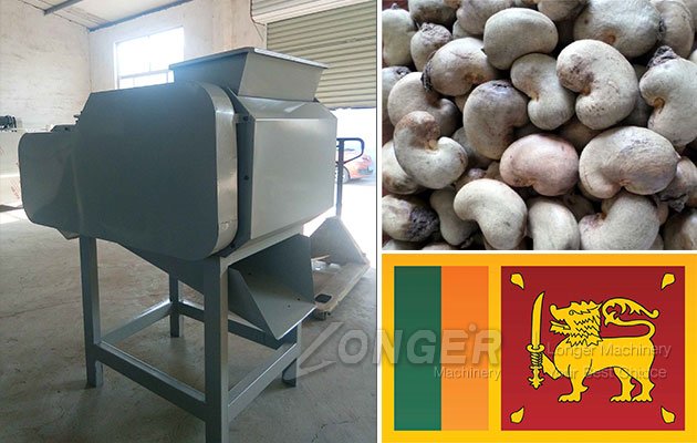 Cashew Nut Shelling Machine Sri Lanka