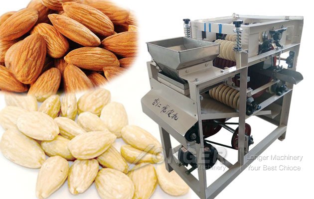 Wet Almond Peeling Machine Sale In India