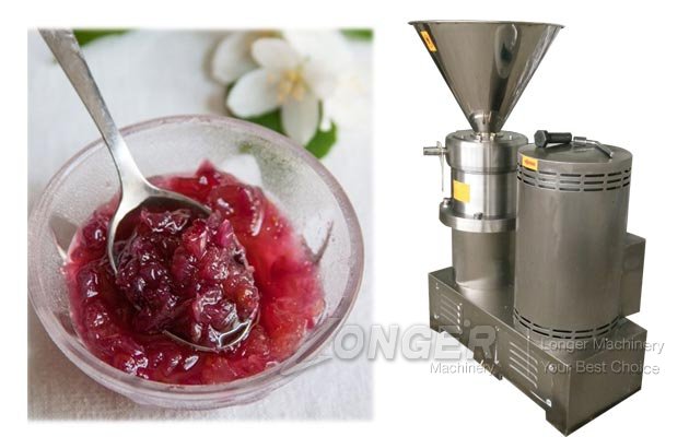 Electric Rosehip Jam Making Machine for Apple Manufacturers
