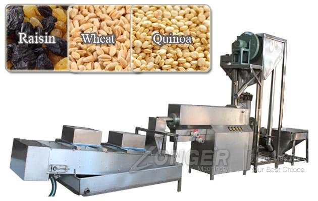 Industrial Raisin Cleaning Equipment|Sesame Seed Washing Drying Machine Manufacturer