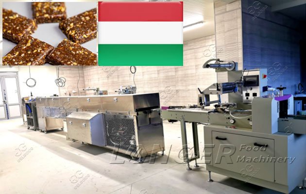 Dates Energy Bar Production Line Installed in Hungary