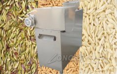 Multi-functional Peanut Strips Cutting Machine|Nut Strips Cutter