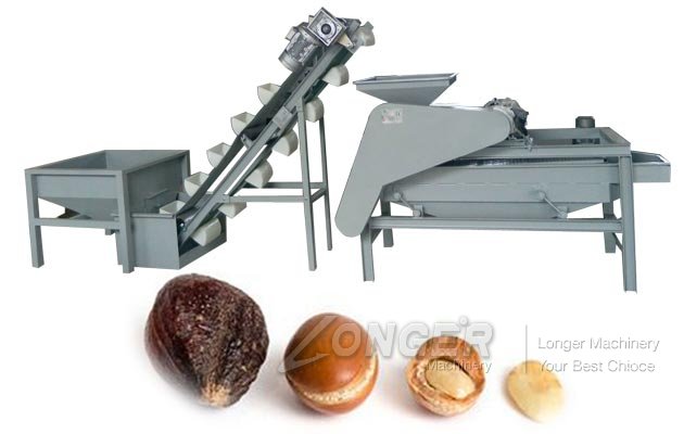 Commercial Olive Seed Shelling Machine