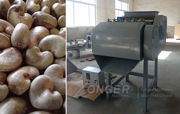 Raw Cashew Nut Processing Machinery Price