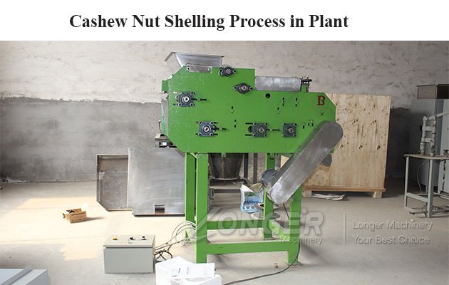 Cashew Nut Shelling Process in Plant