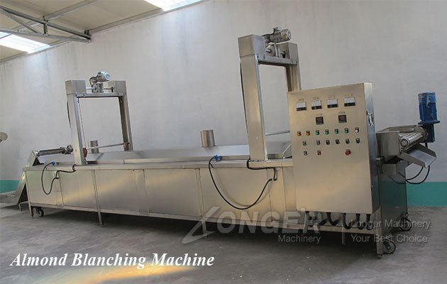 Almond Blanching Machine Factory Price