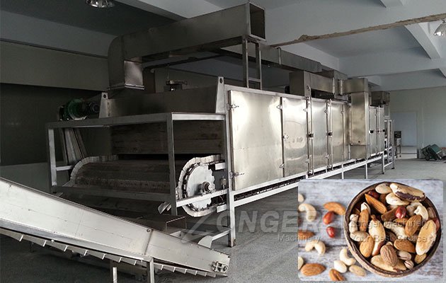 Multifunctional Continuous Peanut Roaster for Sale
