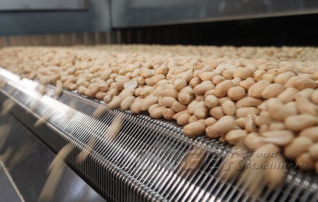 Conveyor Peanut Roasting Machine Price